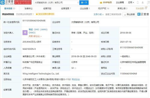字節(jié)跳動投資布局新動態(tài) 入股大揚智能科技，深化軟件開發(fā)版圖